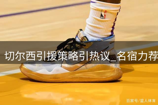 切尔西引援策略引热议 名宿力荐两员英超老将补强阵容